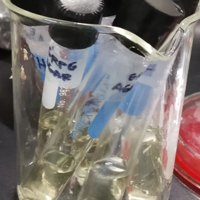 culture broths in test tube